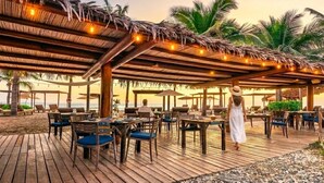 Un área de comedor al aire libre con mesas y sillas de madera, techo de paja y palmeras.