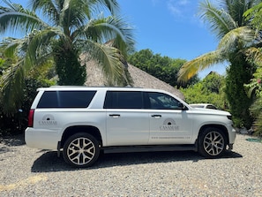 A white SUV parked on a gravel surface with palm trees and a clear blue sky in the background.