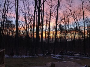 Property grounds - Hummingbird Hideaway (Crab Orchard)
