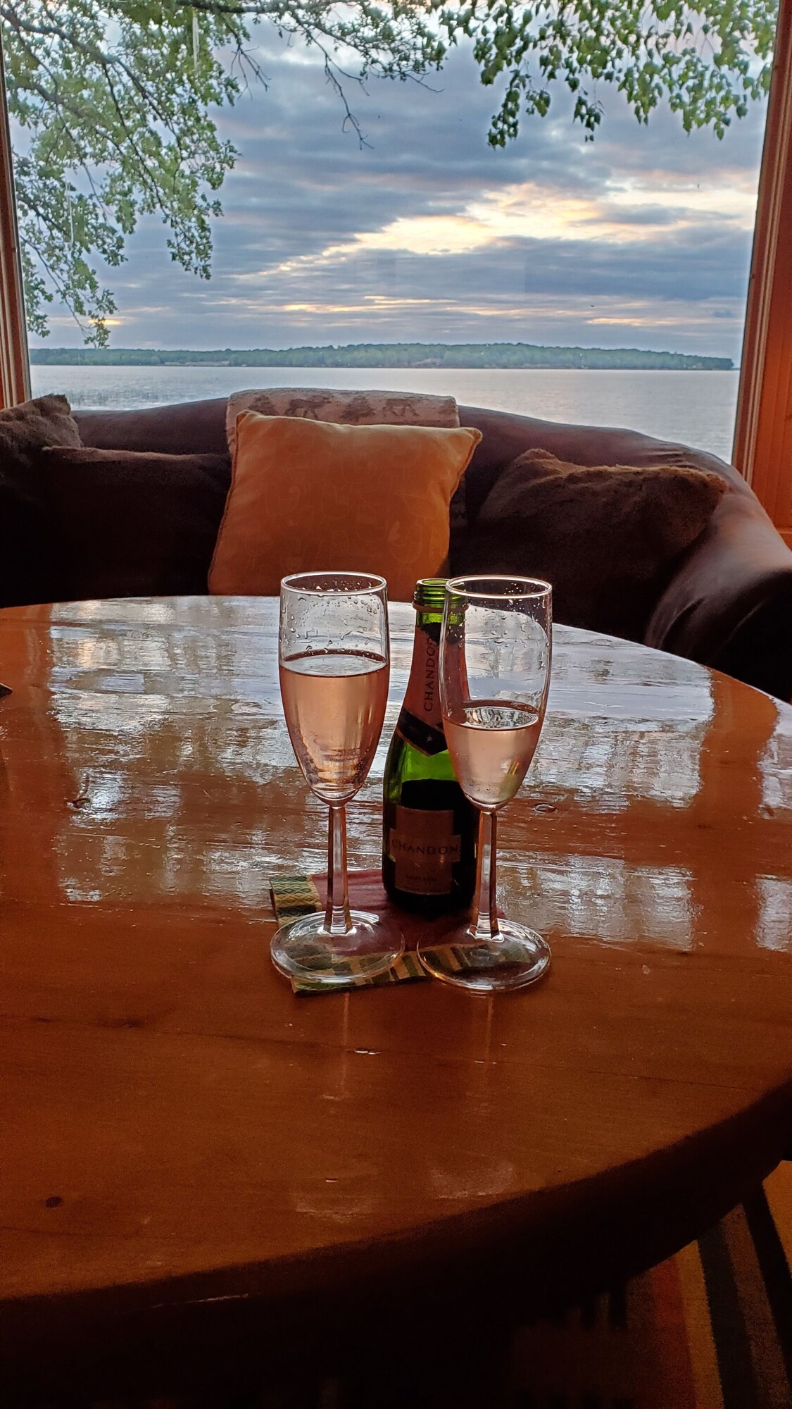 Imagen de perfil del propietario o de la propietaria