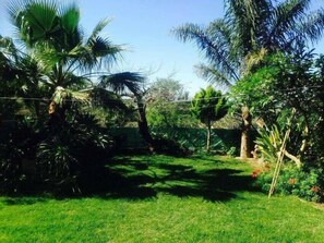 Stroll through a serene garden oasis surrounded by lush tropical plants and palm trees.