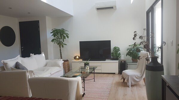 TV, DVD player, books, music library