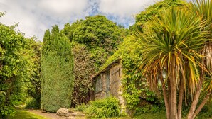 A garden with a path, a tall coniferous tree, and a palm-like plant.