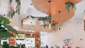 Ein gemütliches Kaffeehaus-Interieur mit Holztischen, bequemen Sitzgelegenheiten und hängenden Pflanzen.