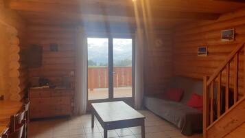 Smart TV, DVD player, books, video library