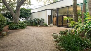 A modern building with a paved courtyard, large windows, and tropical plants.