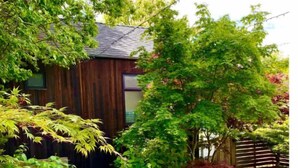 Eine Terrasse im Freien mit einem Holztisch und gelben Stühlen, umgeben von üppigem Grün und einem Holzzaun.