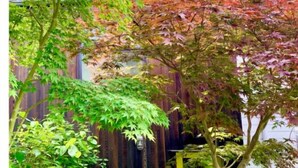 Ein Garten mit verschiedenen Pflanzen und einem Holzzaun.