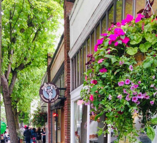 Bright Madison Valley Guest House