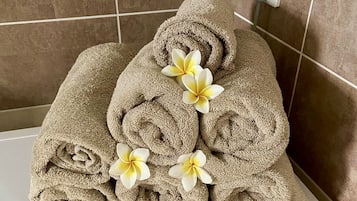 Shower, hair dryer, towels