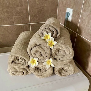 Shower, hair dryer, towels - Logmt n°4 with pool access (Saint-Pierre)