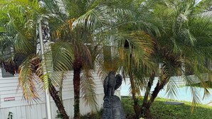 A garden with palm trees, a statue, and a welcome sign. - 5 miles from Disney & Universal! (Kissimmee)