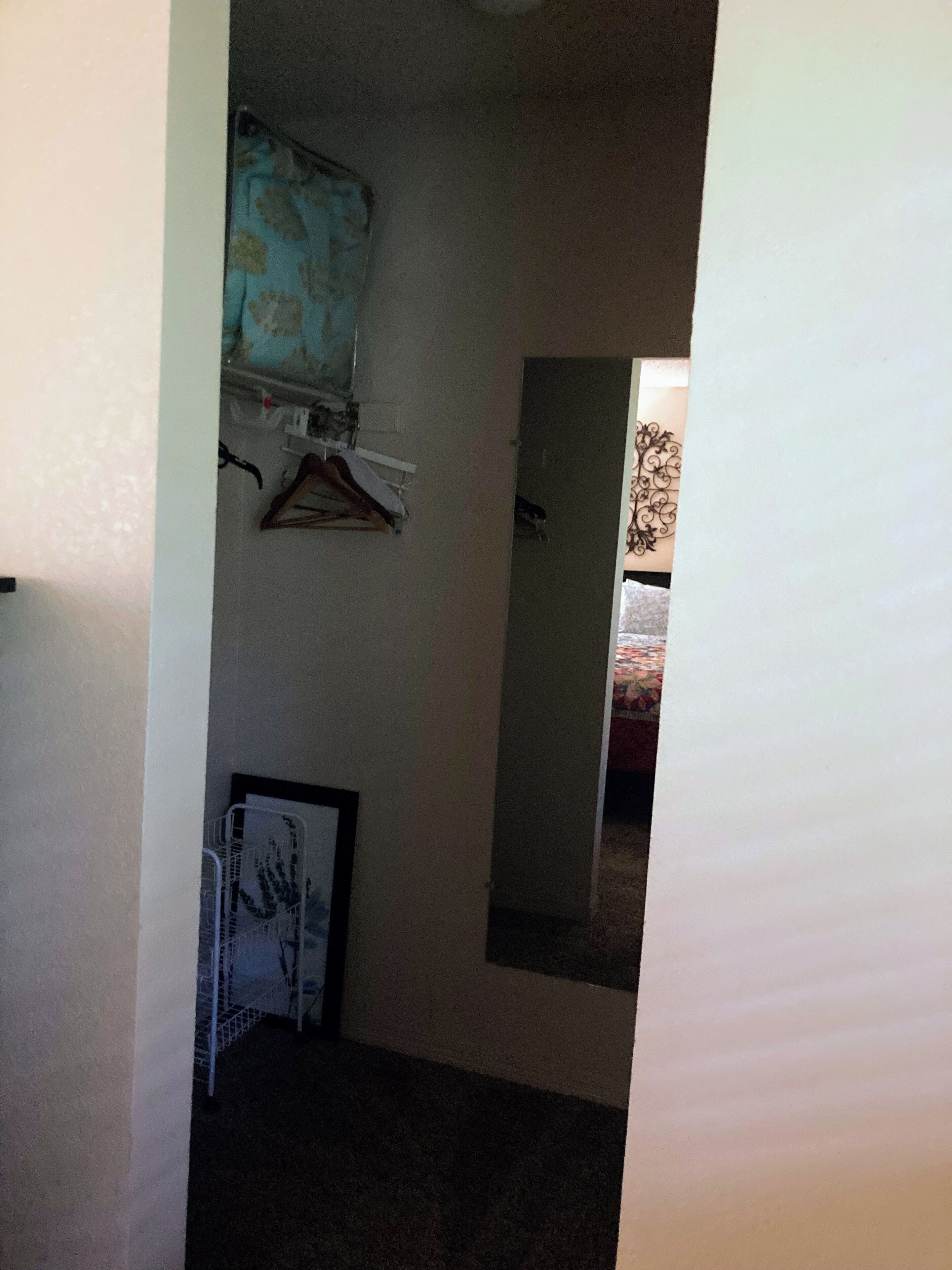 A narrow hallway with a coat rack, a framed picture, and a mirror on the wall.