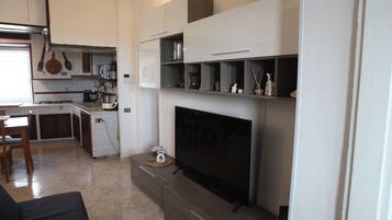 Smart TV, DVD player, books, computer monitors