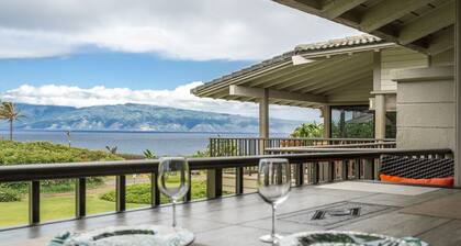 Ocean view, best location in Kapalua, walk to beach, remodel