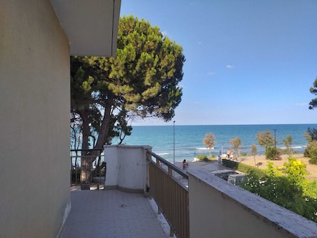 Property grounds. Quadruple room for a totally relaxing holiday 20 meters from the sea