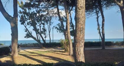 Spacious double room beside the sea