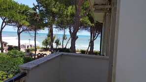 Property grounds - Quadruple room for a totally relaxing holiday (Pineto)