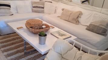 Smart TV, lareira, livros, escritórios