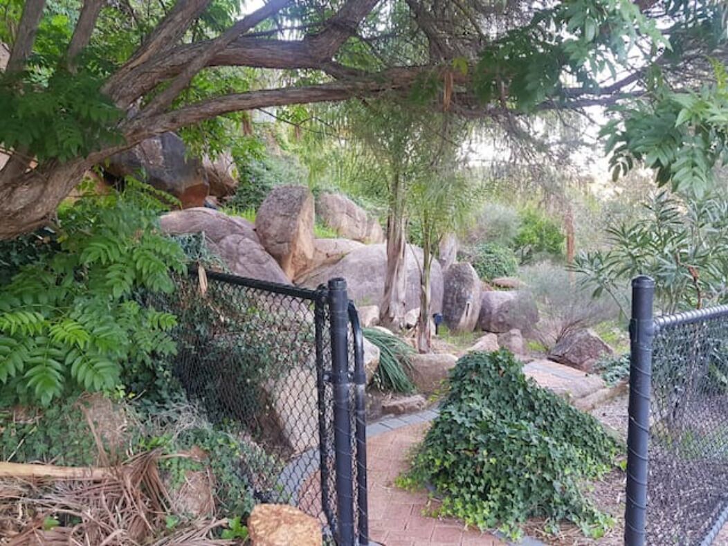 Accommodation on the escarpment of Perth Hills - incredible views and sunsets   — image 25