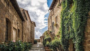 A narrow cobblestone street flanked by stone buildings with ivy-covered walls and arched windows. - Apartment in the Gargano Park (Vieste (FG))