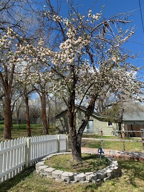 Property grounds - Whitetail cottage! 🦌 Spacious home with game room. Near OIT and SkyLakes.  (Klamath Falls)