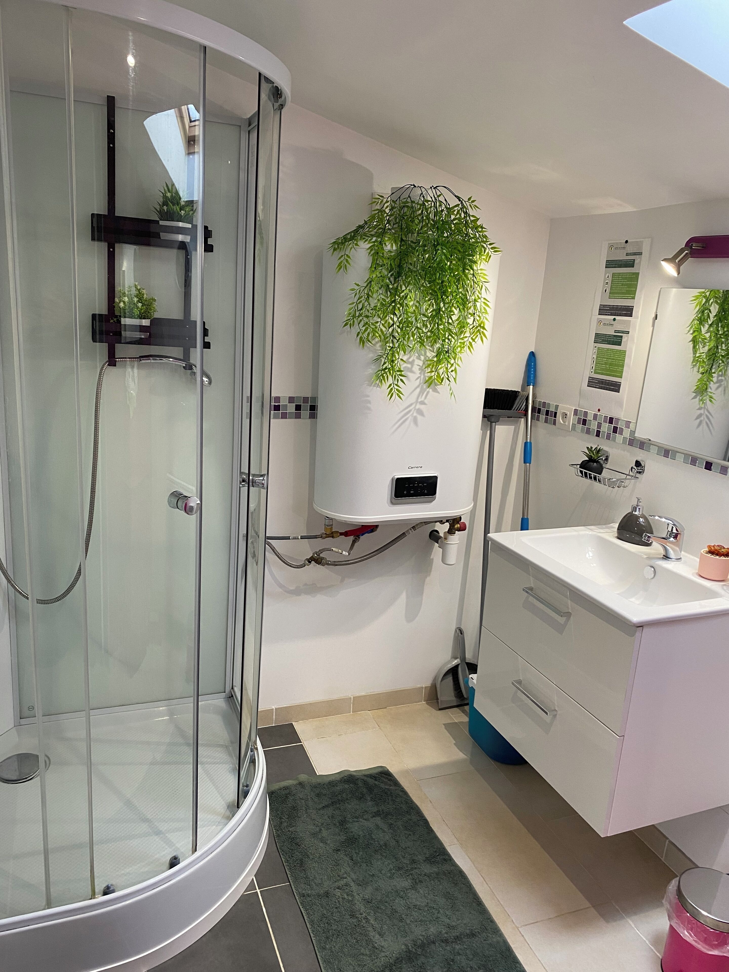 A modern bathroom with a glass-enclosed shower, a white sink with a mirror, and a potted plant.