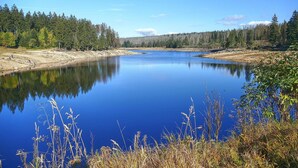 A calm lake surrounded by dense forest. - Apartment Harzblick -neu Modernisiert- (Sankt Andreasberg)