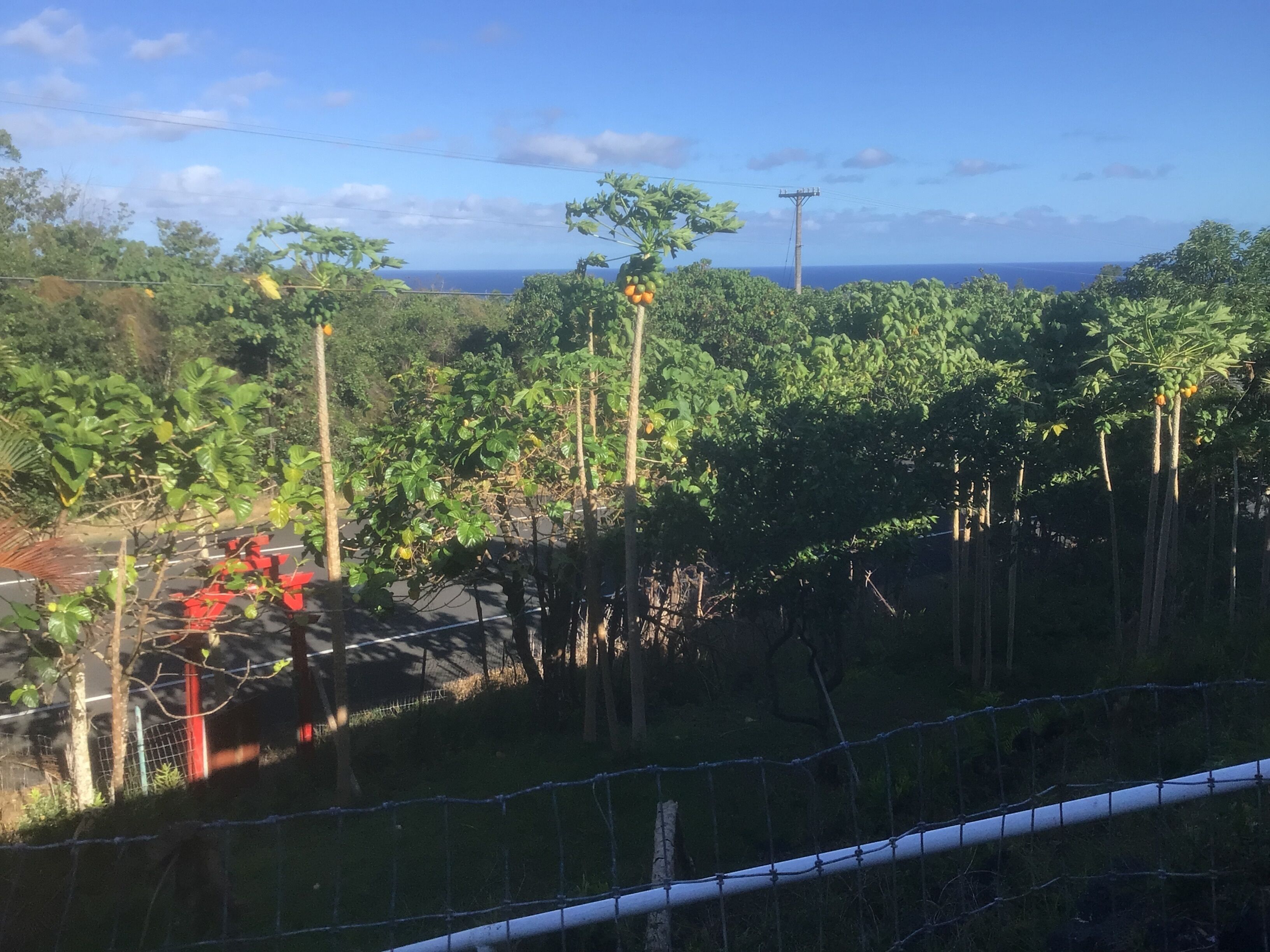 Áreas de la propiedad