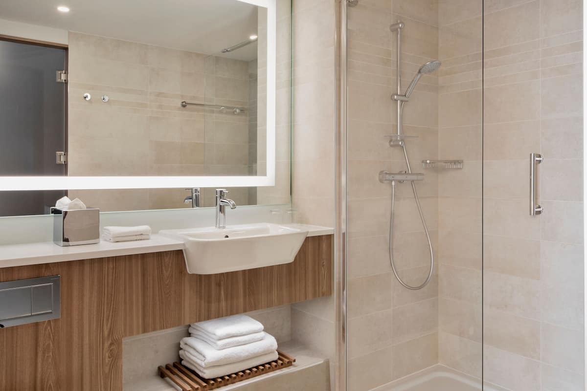 shower, free toiletries, hair dryer, towels