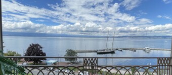 Lovely apartment in Évian-les-Bains, pets allowed