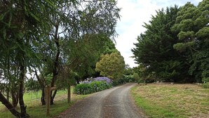 A gravel path flanked by trees and a grassy area.