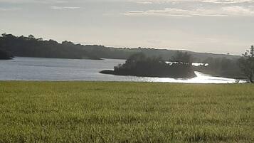 House | Property grounds