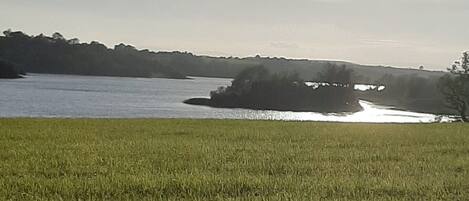 House | Property grounds