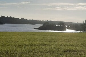 A grassy field with a body of water and a distant tree line.