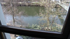 A view of a river with trees and buildings in the background.