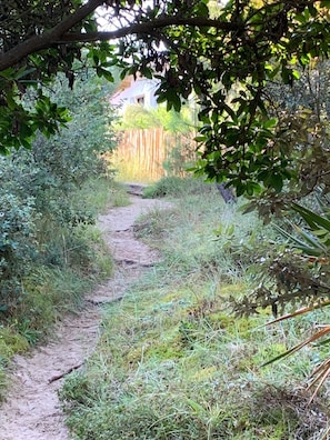 A dirt path surrounded by dense vegetation and a wooden fence in the background.
