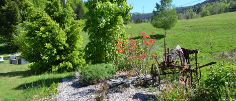 Áreas de la propiedad