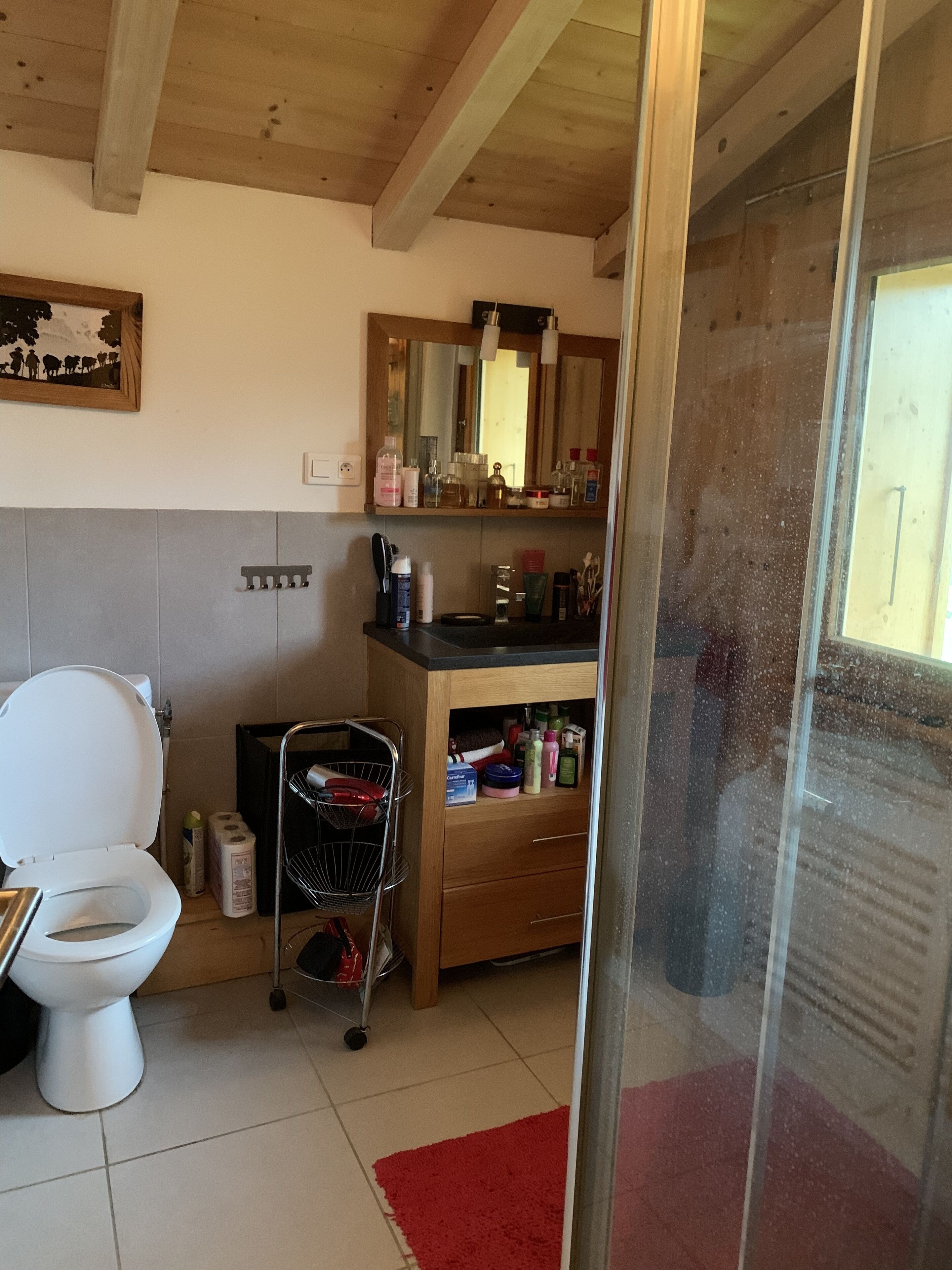 A bathroom with a toilet, a sink, a mirror, and a shelf with toiletries.