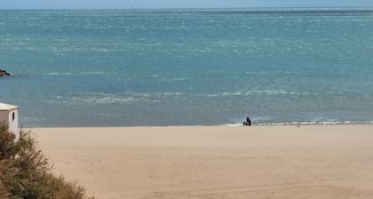 Appartement 2 Pièces Face à la mer