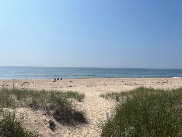 Plage à proximité, chaise longue, serviettes de plage