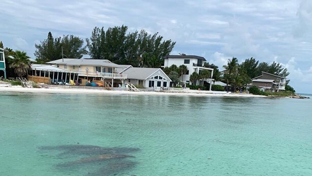 Une plage à l’eau turquoise et limpide, avec des maisons en arrière-plan, et deux requins nageant près du rivage.