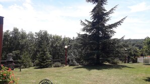 Un jardin avec une table et des chaises de patio, un grand arbre à feuilles persistantes et une clôture en bois.