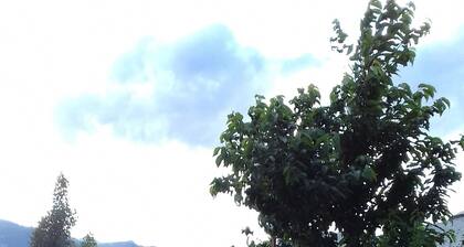 Appartement RDC indépendant et calme