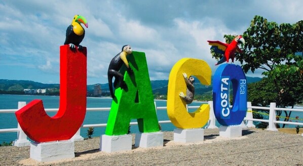 Large letters spelling 'JACOTA' with colorful parrot sculptures on top.