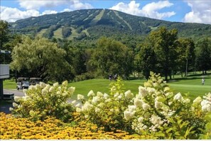 Un parcours de golf avec une montagne en arrière-plan, entouré d’une végétation luxuriante et de plantes en fleurs.