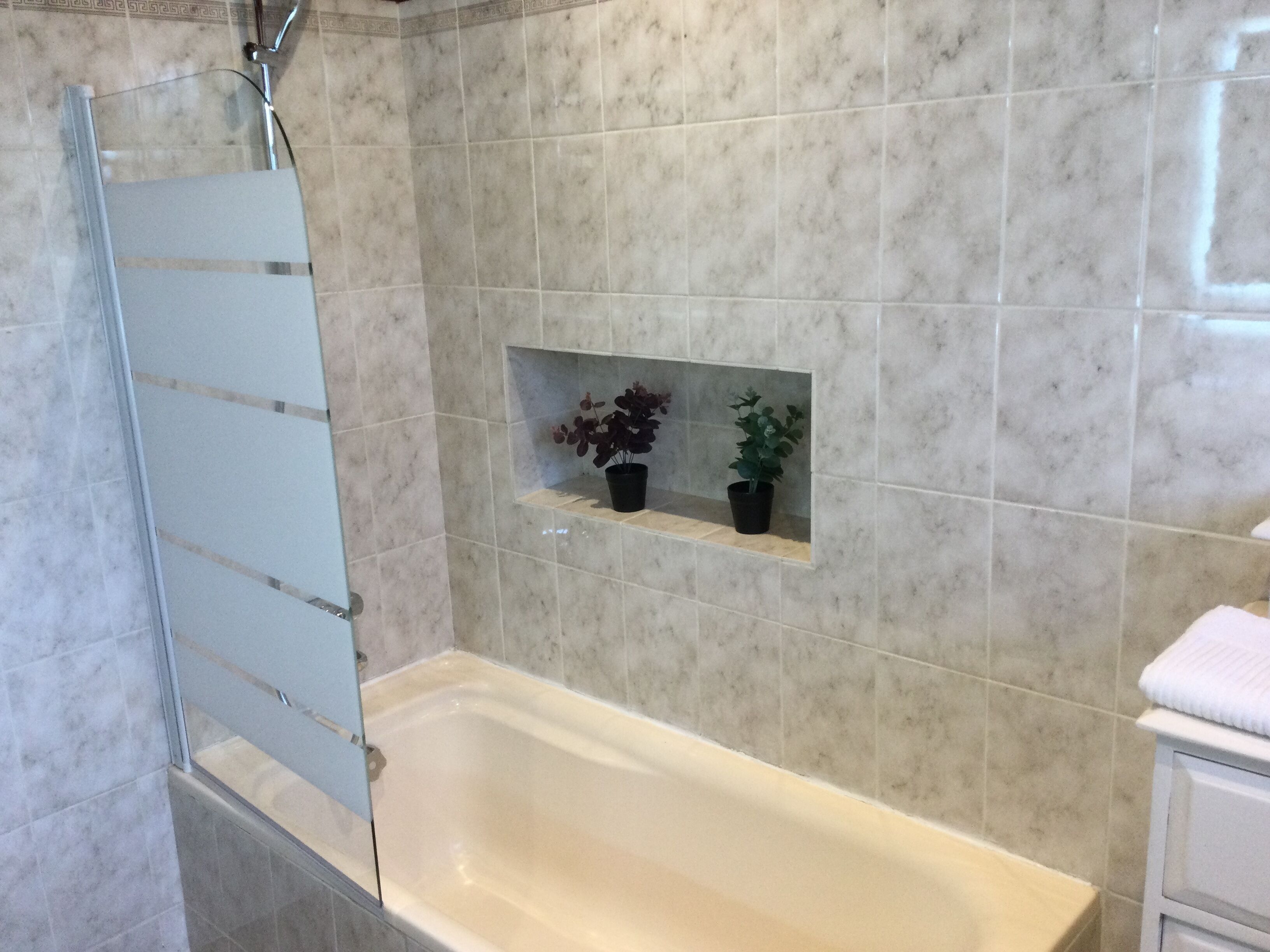 A bathroom with a bathtub, a glass shower enclosure, and two potted plants on a shelf.