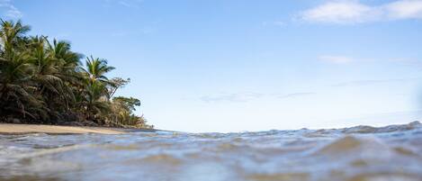 A beach with palm trees and ocean waves.