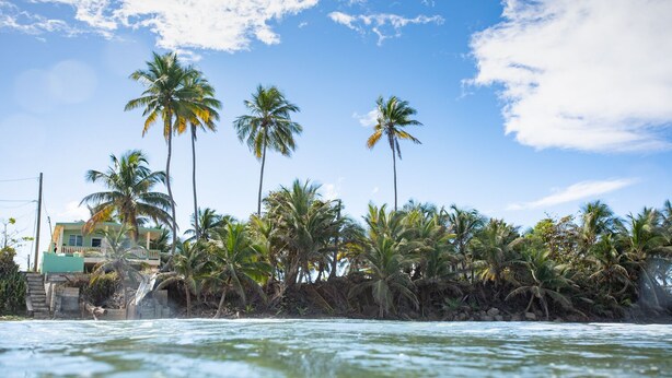A coastal view with palm trees and a building with a balcony.