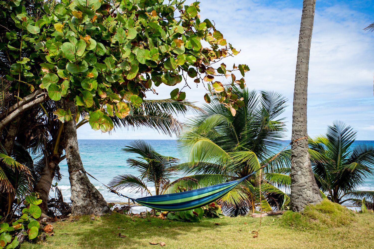 A hammock tied between palm trees overlooking a beach with clear blue water.